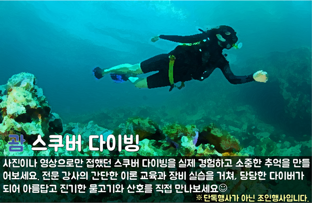 [괌]체험 다이빙.png