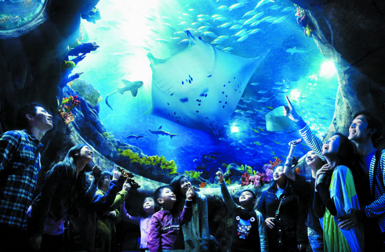 Aqua City - Grand Aquarium (2).jpg