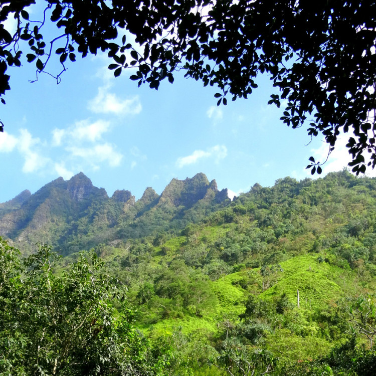 Kualoa_Zipline_Tile_1[1].jpg