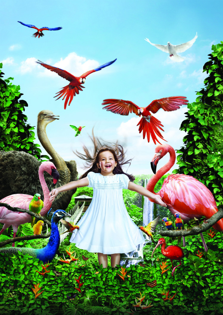 Jurong Bird Park - Key Visual.jpg